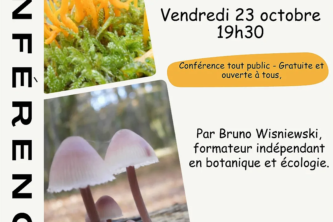 Conférence : La face cachée des champignons