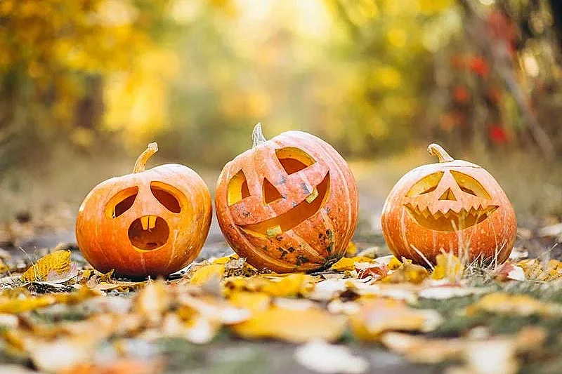 Halloween à Avenheim
