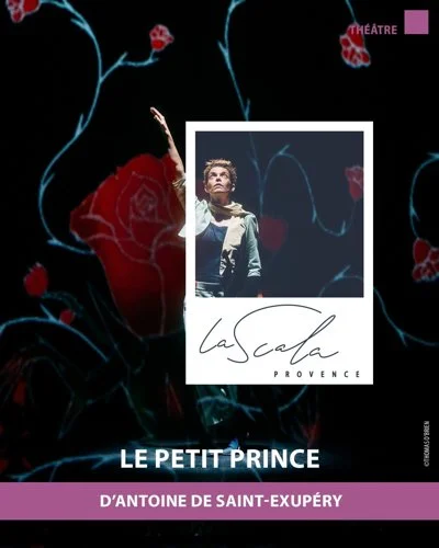 Le petit prince
