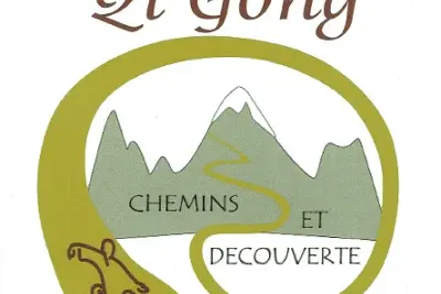 QI GONG ET QI GONG ADAPTÉ
