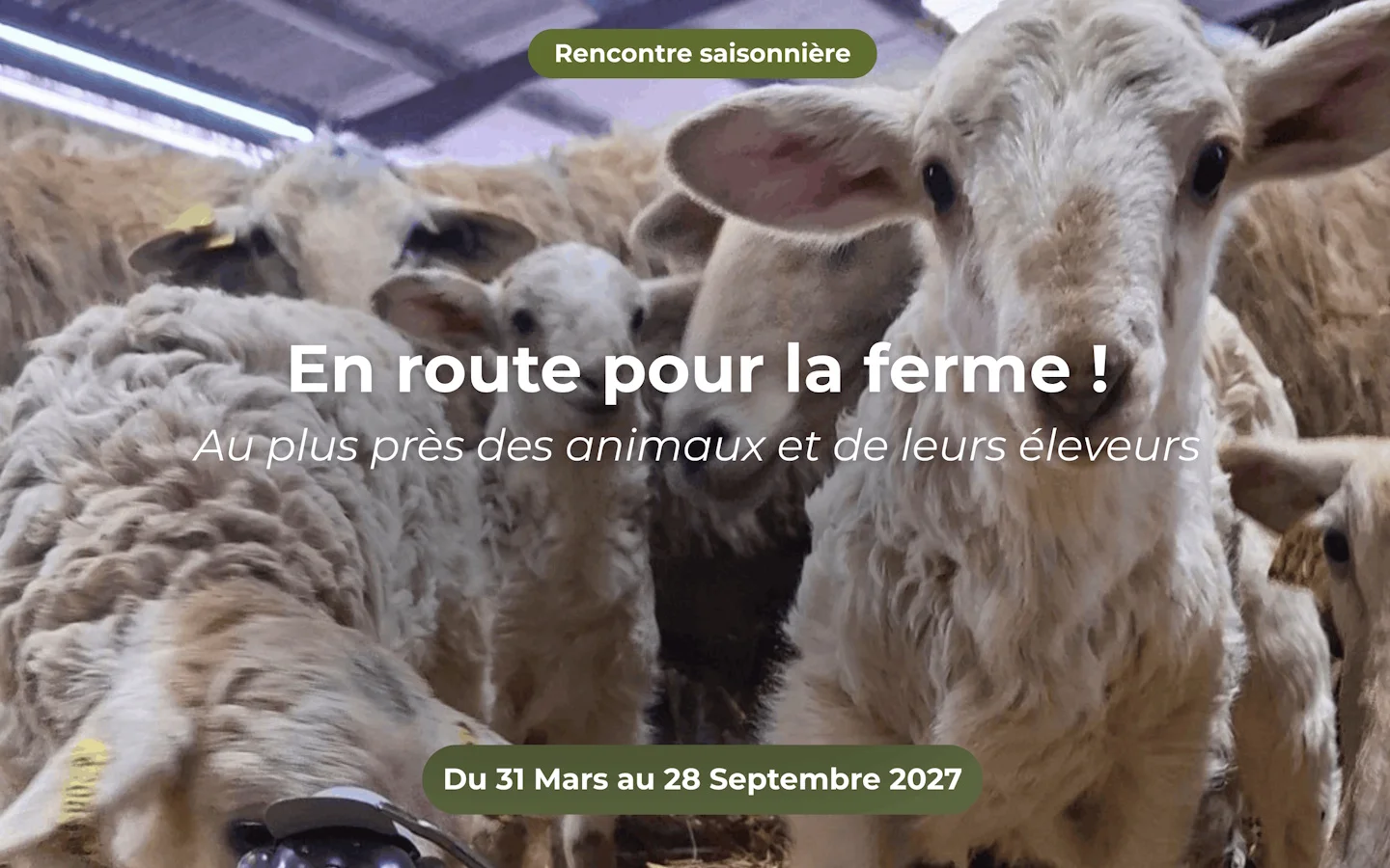 En route pour la ferme en quadricycle électrique avec E-Pottok