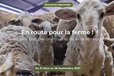 En route pour la ferme en quadricycle électrique avec E-Pottok