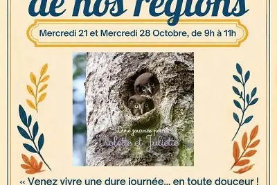 Histoire de nos régions