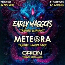 Early Maggots - Concert Tribute