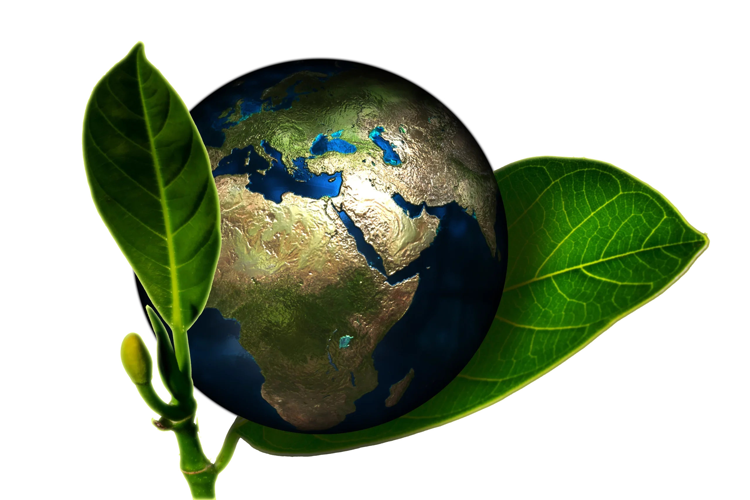 La Fresque du Climat : Comprendre et Agir