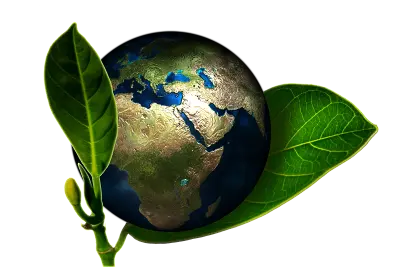 La Fresque du Climat : Comprendre et Agir