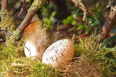 Chasse aux trésors de Pâques