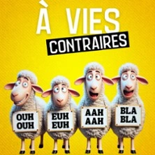 A Vies Contraires - Café-Théâtre Les 3T d'A Côté, Toulouse