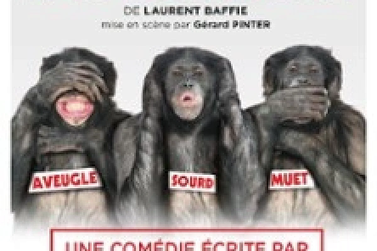 Les Bonobos - Le Grand Théâtre 3T, Toulouse