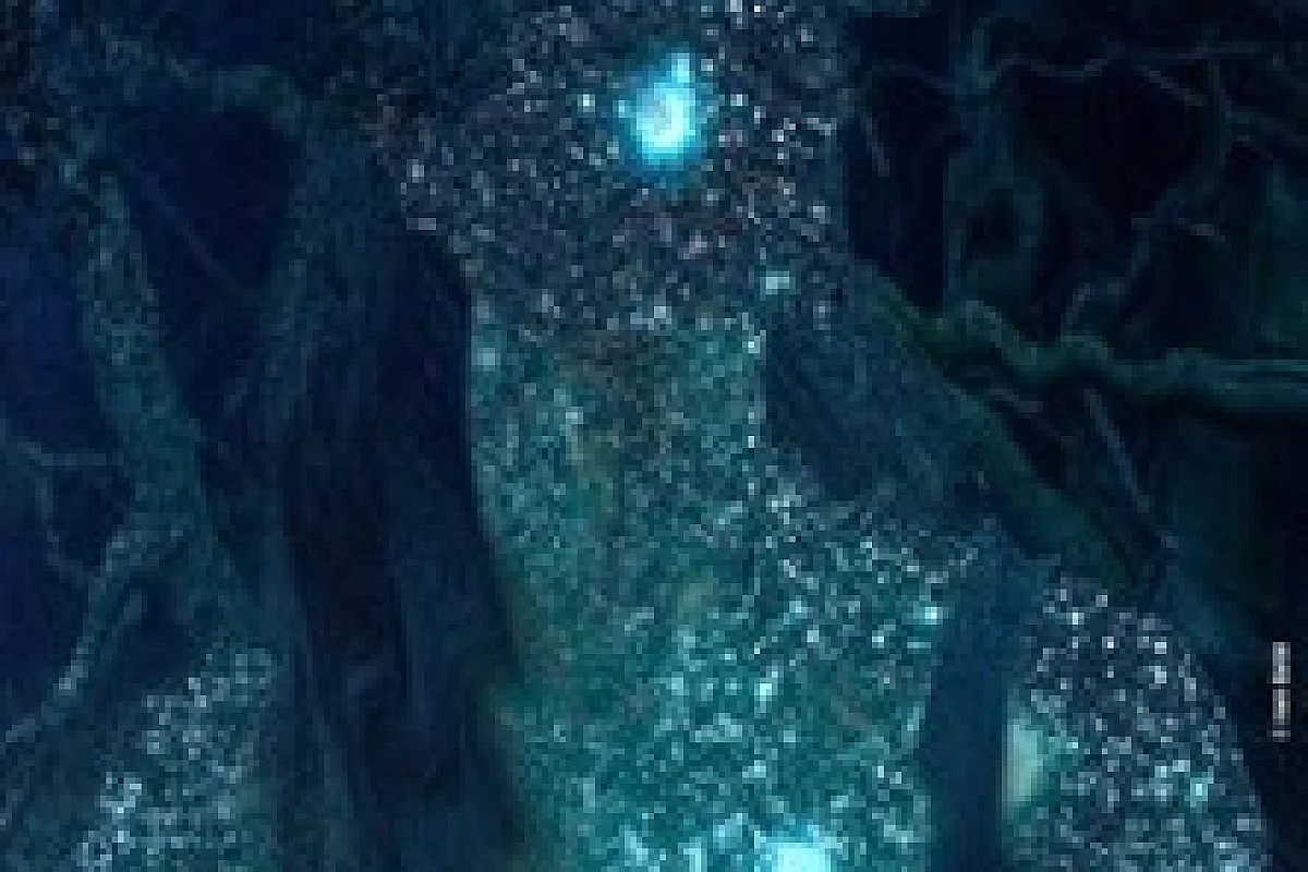 Ursa Major