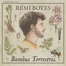 Rémi Boyes -  Bombus Terrestris V2 - Le Point Virgule, Paris