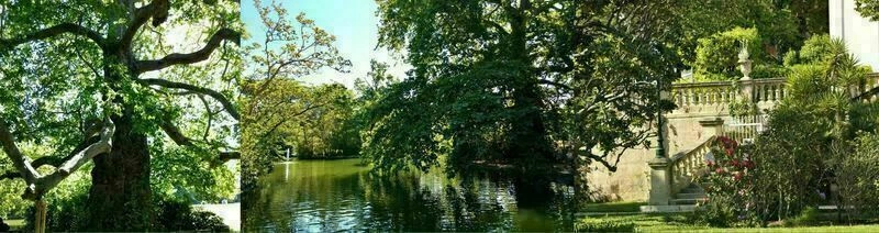 Balade végétale printanière avec Sylvie dans le parc de Maison Blanche, 