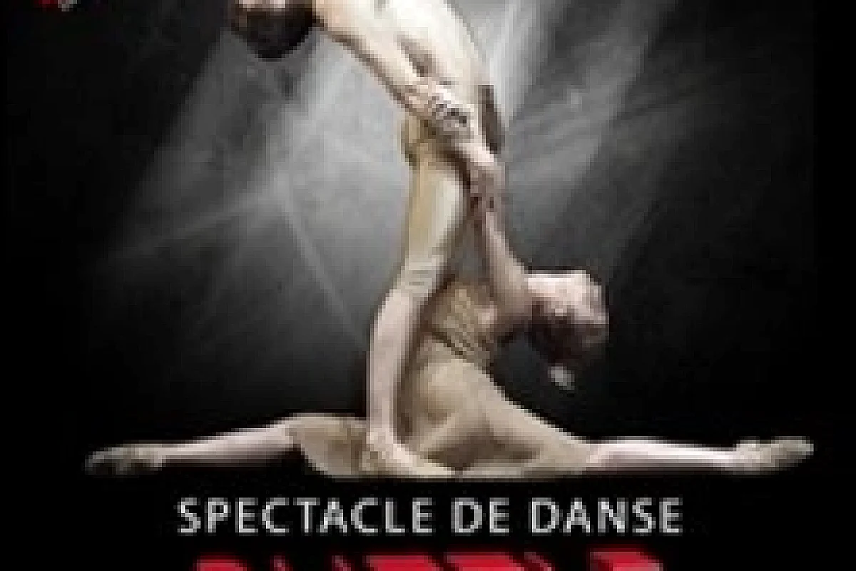 Puzzle - Le Jeune Ballet Européen - Théâtre du Gymnase, Paris