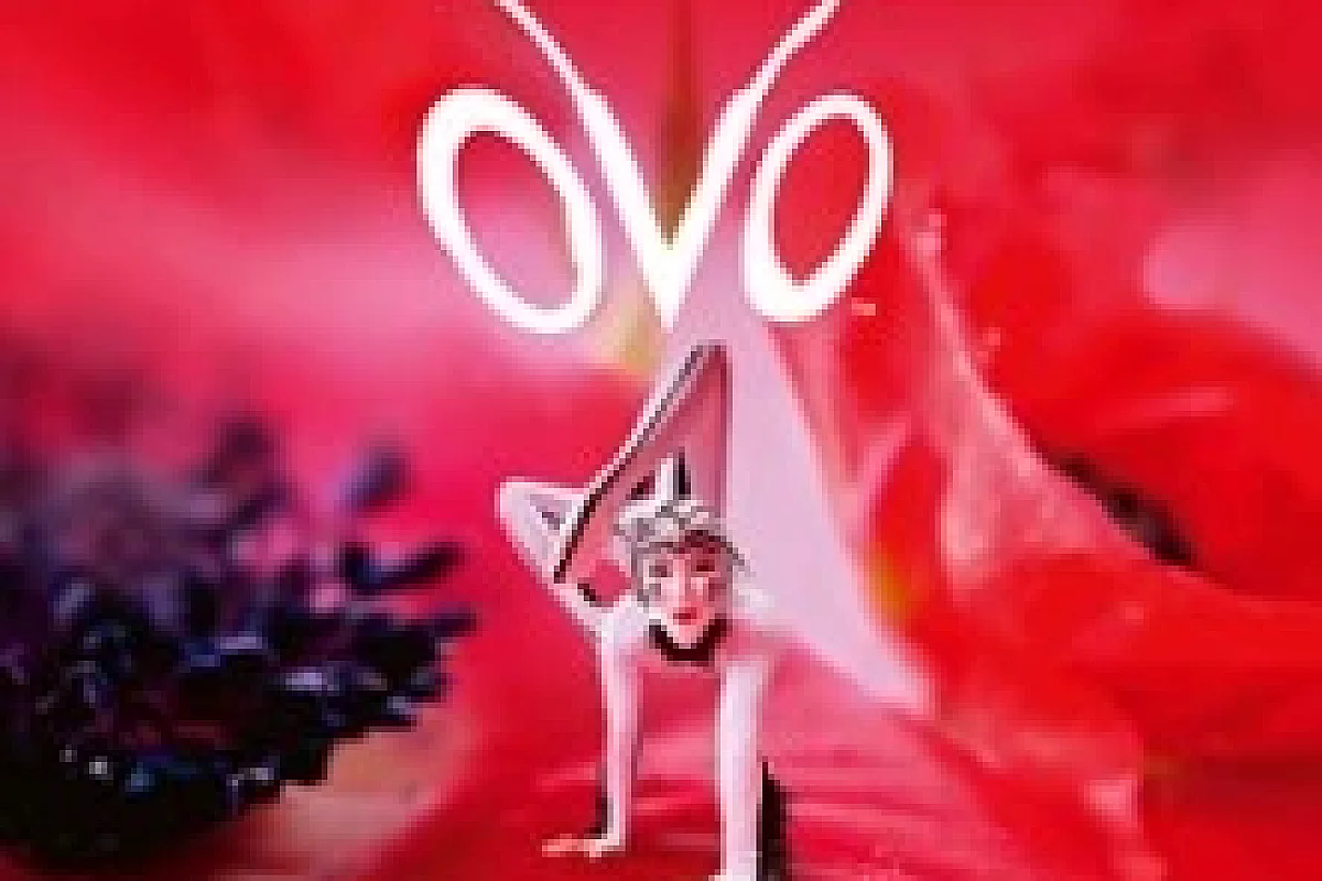 Cirque du Soleil - Ovo - Tournée